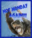 Not Monday Again!!!