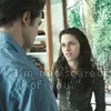 twilight
