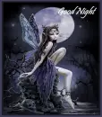 fairy good night