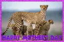 Happy Mother's Day