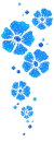 blue flowers