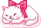 kitty