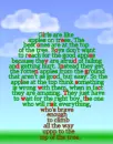Gurlz r like apples. . .