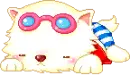 kitty