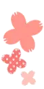 pink flowers
