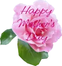 Happy Mother's Day