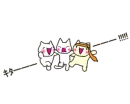 cute cats