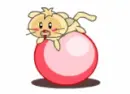 cute cat