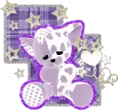 kitty