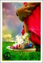 hippie