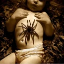 spider