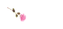 Rose Pen Light Pink - Amelia
