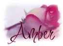 amber with a rose in the back ground