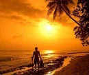 surfness