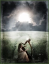 Harp