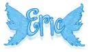 wings eric