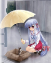 girl with kitty