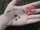 hand