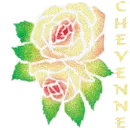 Cheyenne Rose with Alternating Colors
