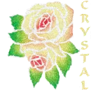 Crystal Rose with Alternating Colors