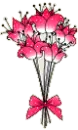 pink flowers