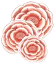 pink flowers