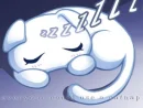 Kiki Kitty Sleeping