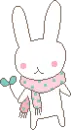 cute bunny