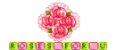 Roses For u