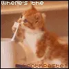 where's the..