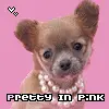 pretty in pink