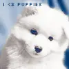 i love puppies