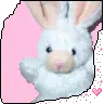 love bunny
