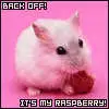 it's my raspberry