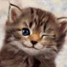 wink