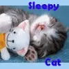 sleepy cat