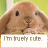 i'm truely cute