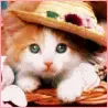 to cuteee