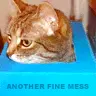 another fine mess