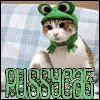 pussy cat
