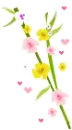cute flowers
