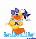 Have A Beautiful day!