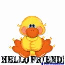 Hello Friend!
