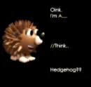 Oink I'm A Hedgehog.