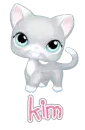 littlest pet shop kitty kim