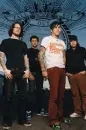 Fob