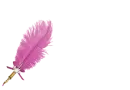 Feather Pen Dark Pink - Aletha