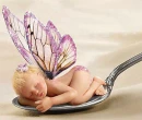 tiny sleeping fairy baby