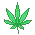 weed