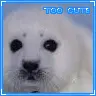 too cute